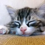 카라둣 케이브 3* 괴레메