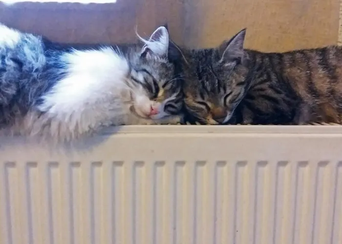 카라둣 케이브 3* 괴레메