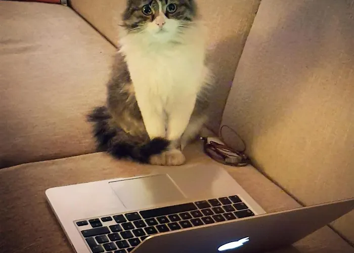 Karadut Cave Otel 3*