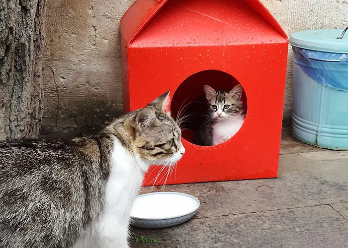 카라둣 케이브 호텔